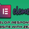 Elementor For Newcomers – Construct Responsive WordPress Web site With Zero…