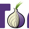 Tor Browser 10.5 (x64)