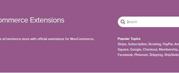 Full Set All In One 237+ Woocommerce Extensions (+Updates) – WooCommerce