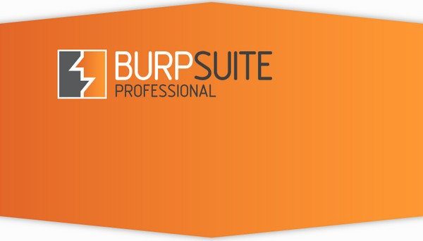 Burp Suite Expert 2022.2.5