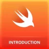  Frontend Grasp – Introduction to Swift and iOS App Enchancment