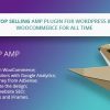 WP AMP v9.3.32 – Accelerated Cellular Pages for WordPress and WooCommerce